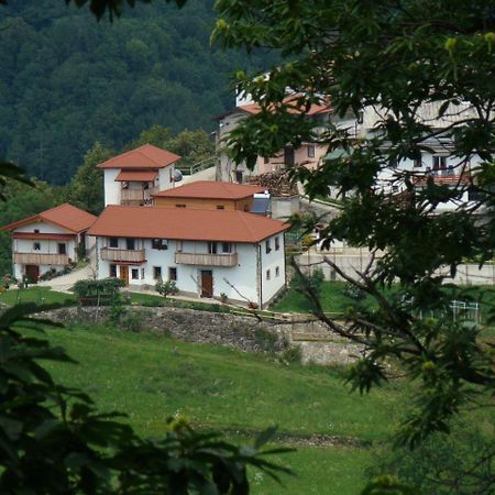 Apartmaji Nena Rocinj Εξωτερικό φωτογραφία